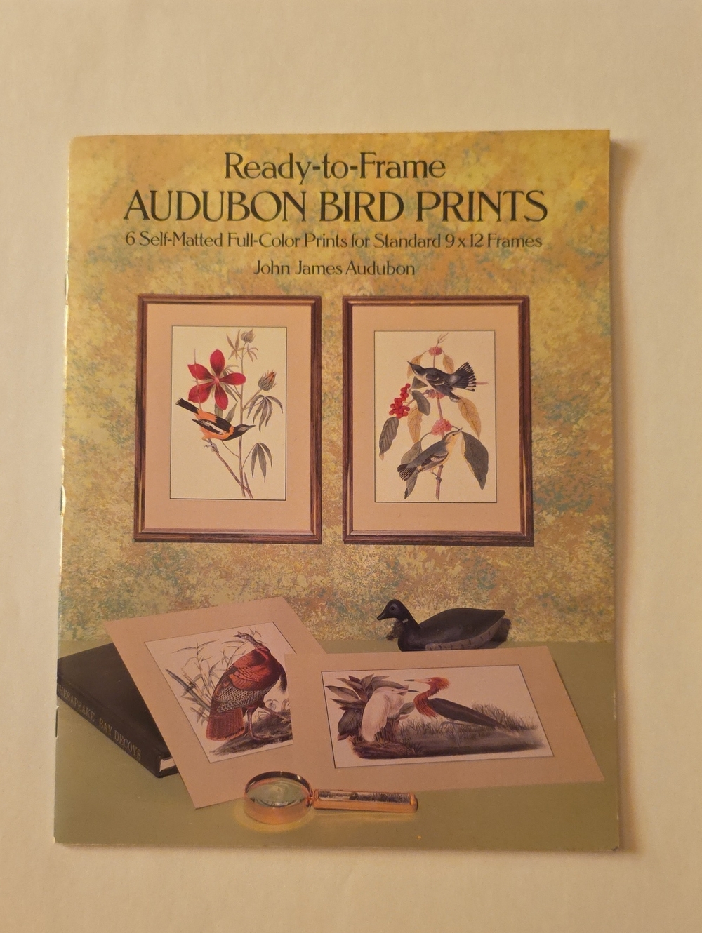 Ready-to-Frame 6 Self-Matted Audubon Bird Prints